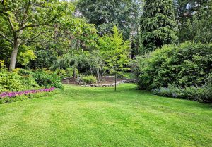 Optimiser l'expérience du jardin à Bouillon